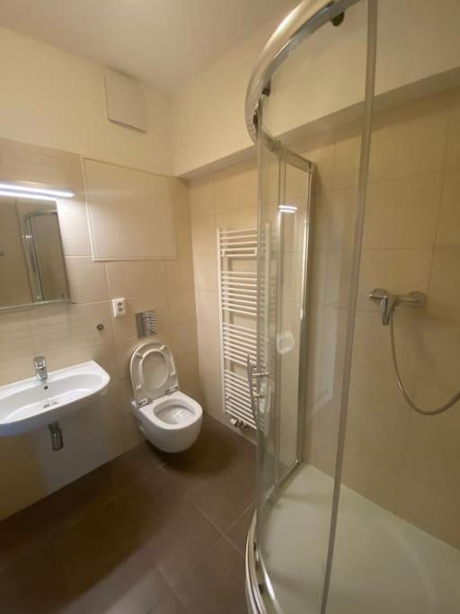 Garden Apartment Karolina Ostrava Luaran gambar